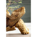 Sculptures Home Decor Deco Figurine Turtle Gold Big