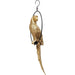 Sculptures Home Decor Deco Object Swinging Parrot Gold