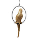 Sculptures Home Decor Deco Object Swinging Parrot Gold