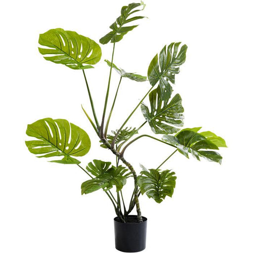 Sculptures Home Decor Deco Plant Monstera 110