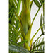 Sculptures Home Decor Deco Plant Palm Tree 190
