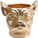 Sculptures Home Decor Deco Planter Bulldog Gold