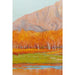 Wall Art - Kare Design - Framed Picture Autumnal 120x120cm - Rapport Furniture
