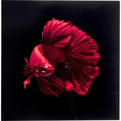 Wall Art - Kare Design - Glass Picture Fire Fish 100x100cm - Rapport Furniture