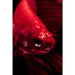 Wall Art - Kare Design - Glass Picture Fire Fish 100x100 - Rapport Furniture