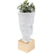 Home Decor Storage & Order Plant Pot Jeffrey 80cm