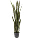 Sculptures Home Decor Deco Plant Sansewieria 155cm