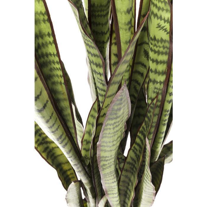 Sculptures Home Decor Deco Plant Sansewieria 155cm