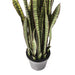 Sculptures Home Decor Deco Plant Sansewieria 155cm