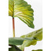 Sculptures Home Decor Deco Plant Rainforest Green 160cm