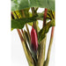 Sculptures Home Decor Deco Plant Rainforest Green 160cm