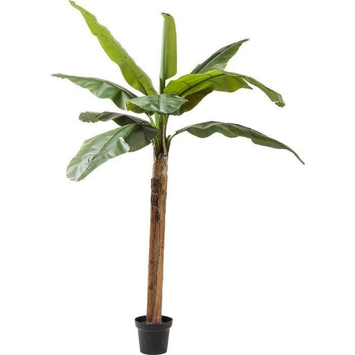 Sculptures Home Decor Deco Plant  Banana Tree 190cm