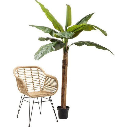 Sculptures Home Decor Deco Plant  Banana Tree 190cm