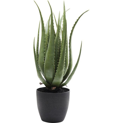 Sculptures Home Decor Deco Plant Aloe 69cm