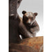 Sculptures Home Decor Deco Object Reading Bears