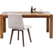 Living Room Furniture Tables Authentico Table 200x100cm