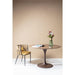 Living Room Furniture Tables Table Top Invitation Round Walnut Ø120cm