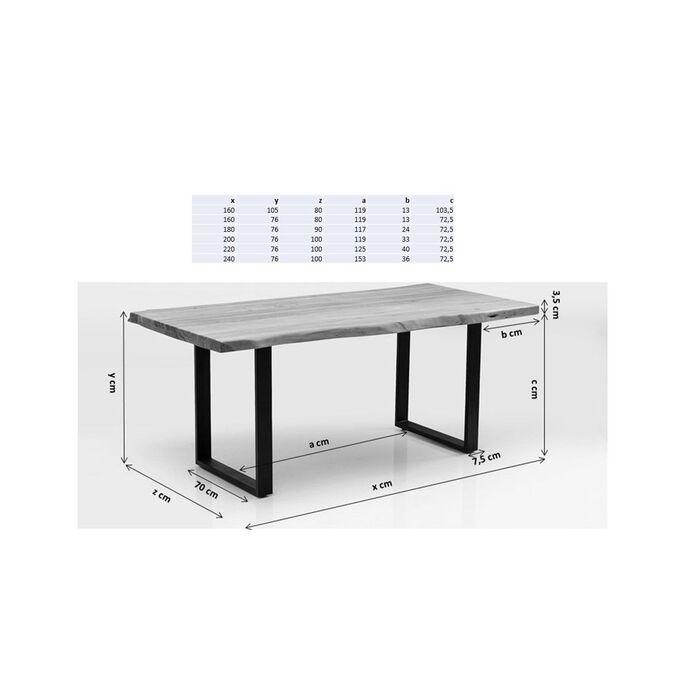 Living Room Furniture Tables Table Symphony Silver 160x80