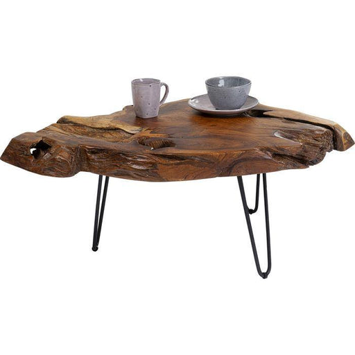 Living Room Furniture Coffee Tables Coffee Table Aspen Nature 100x60
