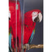 Small furniture & Miscellaneous Room Divider Twin Parrot vs Cute Colibri 120x180
