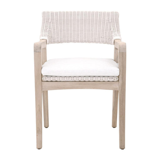 Armchairs - Essentials For Living - Lucia Outdoor Arm Chair - Rapport Furniture